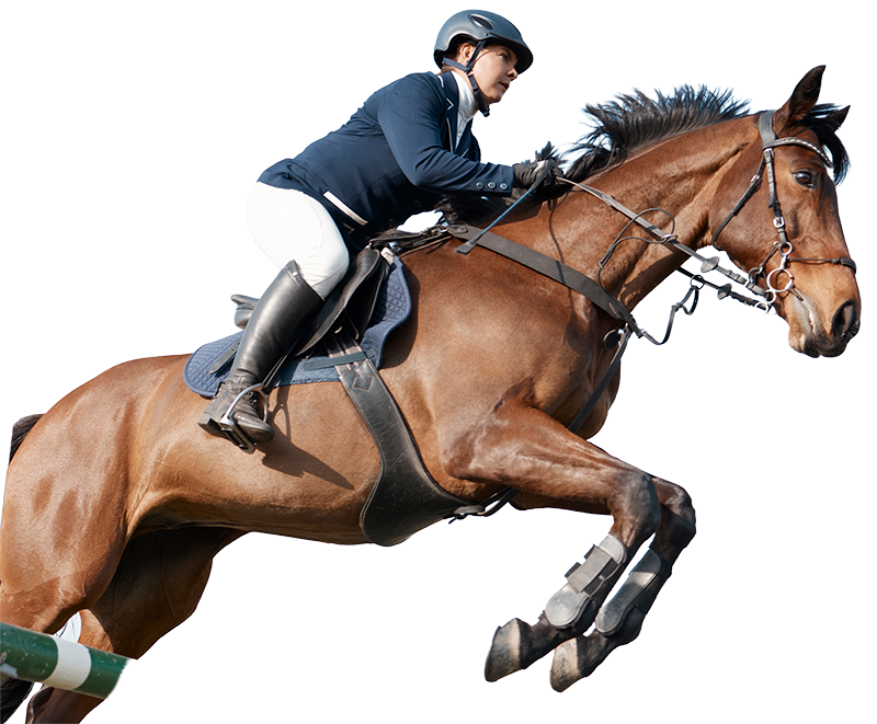 horse show jumping woman ranch farm fitness training sport competition event animal female jockey countryside course dressage performance arena texas