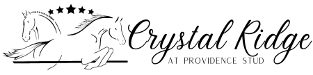 logo landscape black