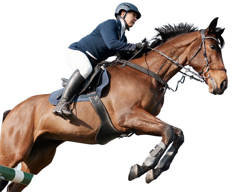 horse-show-jumping