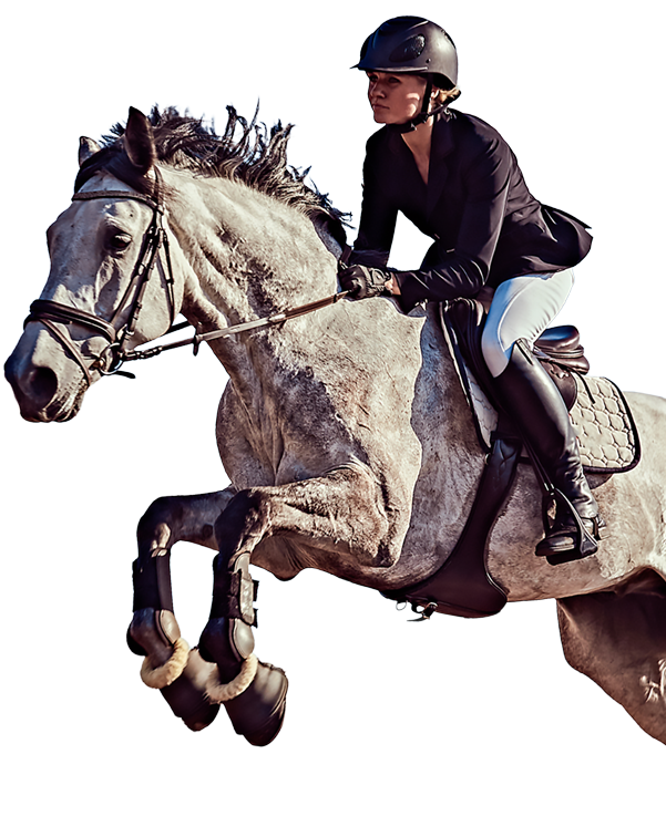young female jockey dapple gray horse jumping hurdle open arena